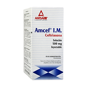 AMCEF I.M. SOL INY. 1g